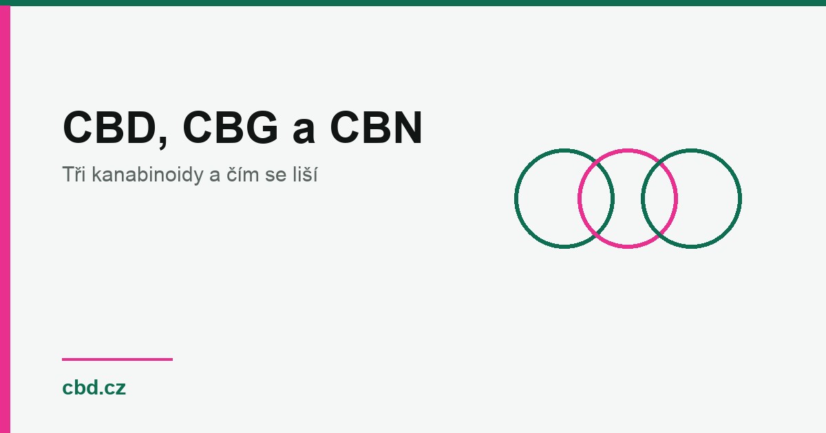 CBG a CBN vs CBD: rozdíly a proč je CBG dražší