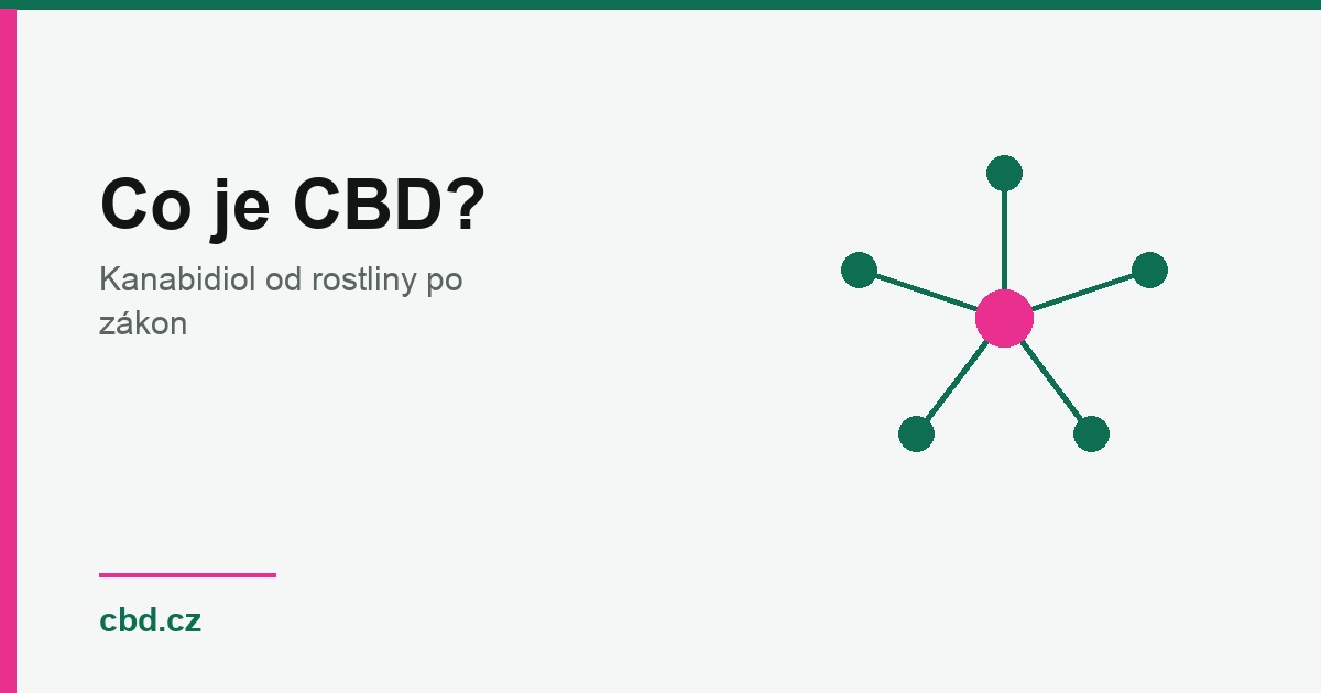 Co je CBD (kanabidiol)? Průvodce od rostliny po zákon