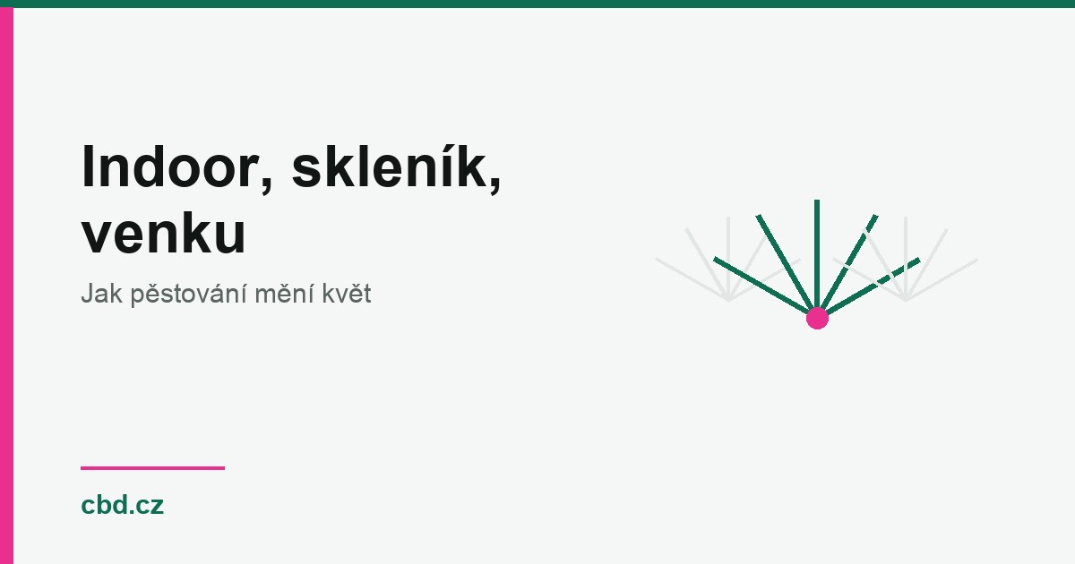 CBD květy indoor, skleník a outdoor: v čem se liší kvalita