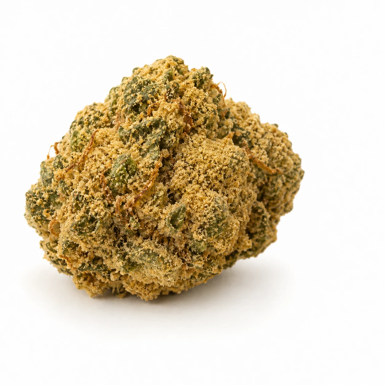 Kus CBD Moonrocks se zrnitým povrchem z kiefu